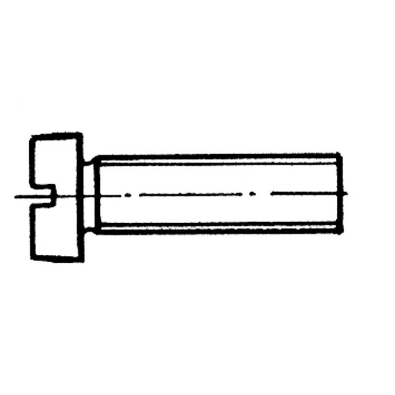 Düz Silindir Baş Metrik Vida 6X20 Mm Aısı 316 Dın 84