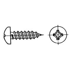 Yıldız Silindir Baş Sac Vida 3,5X19 Mm Aısı 316 Dın 7981